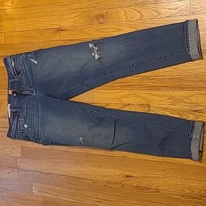 Anthropologie Pilcro and the letterpress Size 29T Blue Jeans